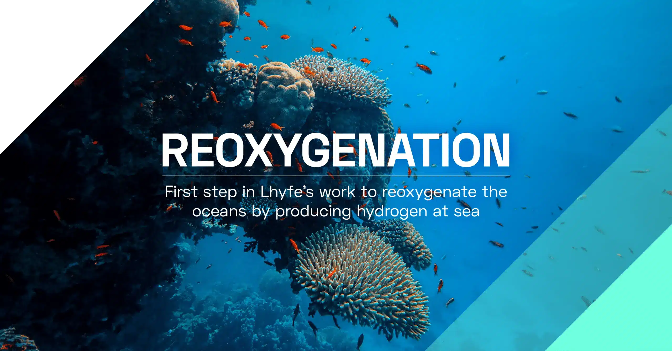¡Lhyfe completa un primer paso en su trabajo para reoxigenar los océanos!